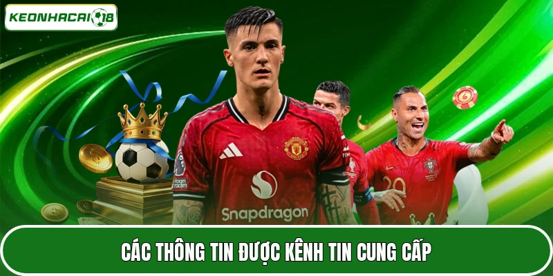 Các thông tin được kênh tin cung cấp