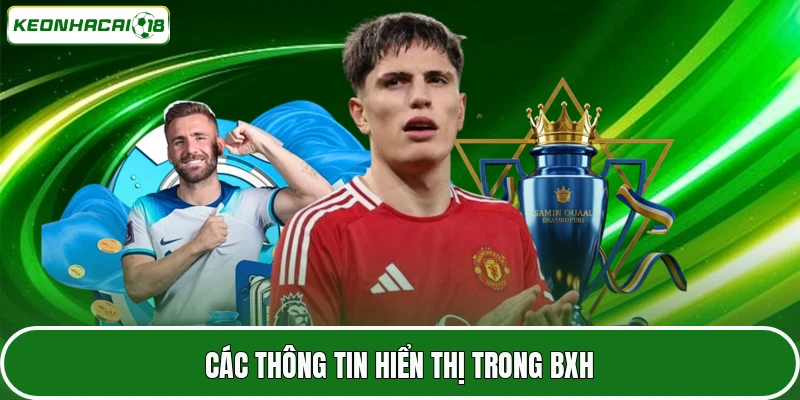 Bảng Xếp Hạng Bóng Đá 2 Các thông tin hiển thị trong BXH